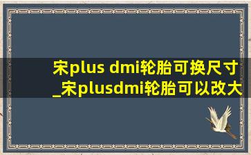 宋plus dmi轮胎可换尺寸_宋plusdmi轮胎可以改大吗